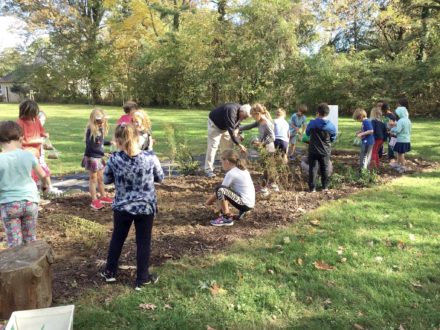 Elementary school students plant native plants