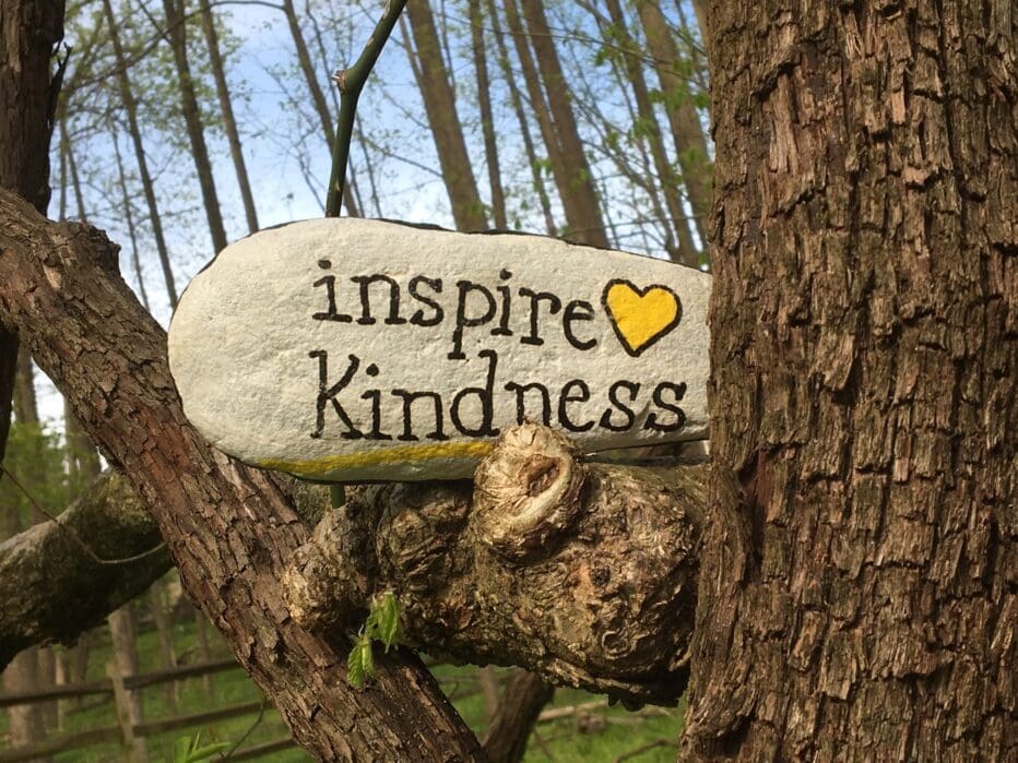 A rock is painted with the words "inspire kindness" and is propped on a tree branch