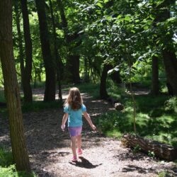 A girl walks down a sun-dappled path in the church woodlands.