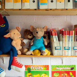 Toys and books sit on a shelf